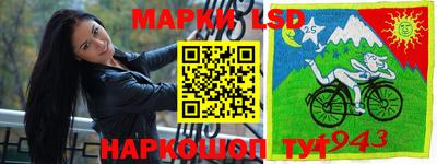 стафф Камышлов