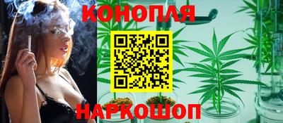 стафф Камышлов