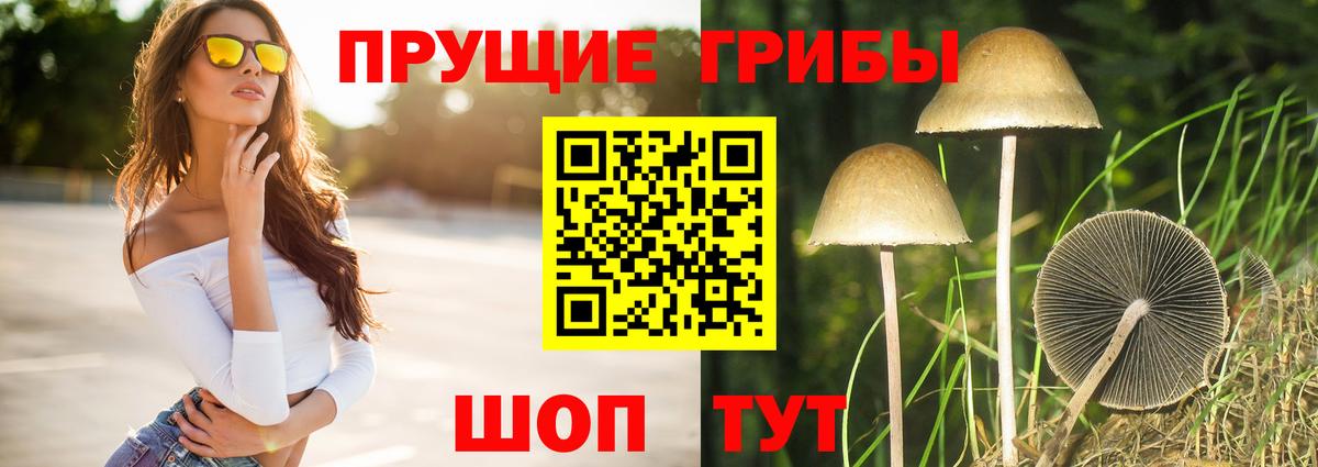 хочу наркоту  Псилоцибиновые грибы MAGIC MUSHROOMS  Вход с VPN  Хабаровск 